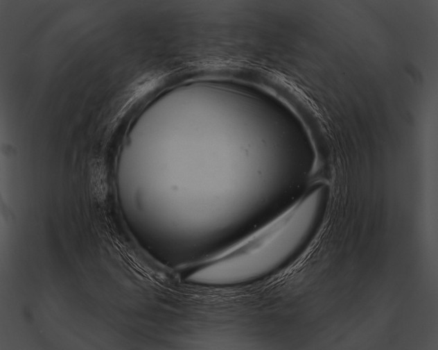 X0000090481213200708031117