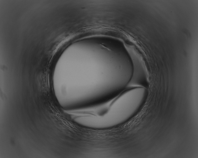 X0000090481214200708031117