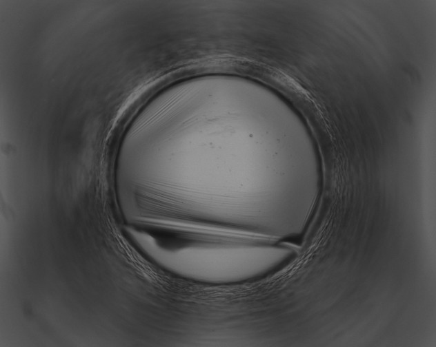 X0000090481216200708031117