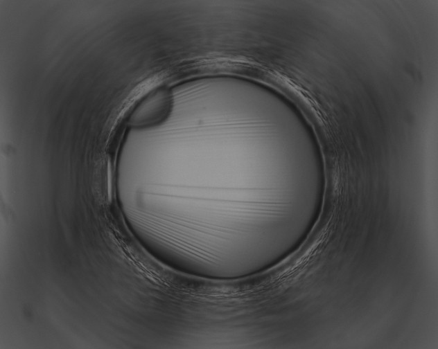 X0000090481219200708031117