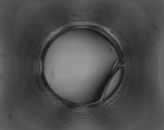 X0000090481221200708031117