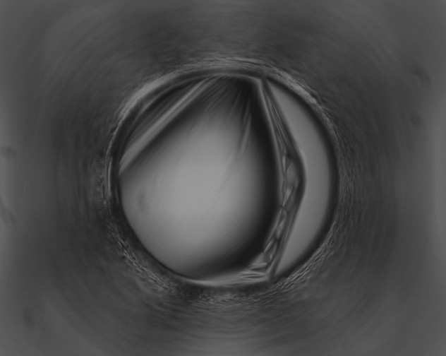 X0000090481222200708031117