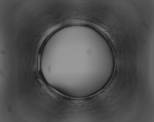 X0000090481223200708031117