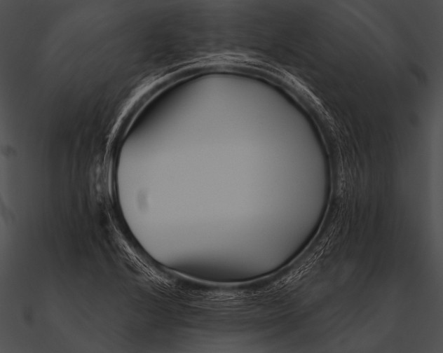 X0000090481224200708031117