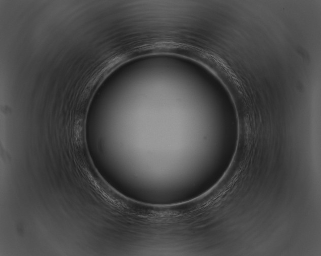 X0000090481225200708031118