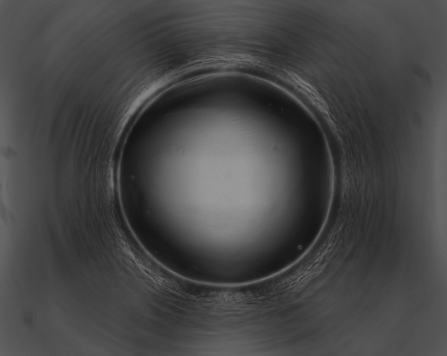 X0000090481226200708031118