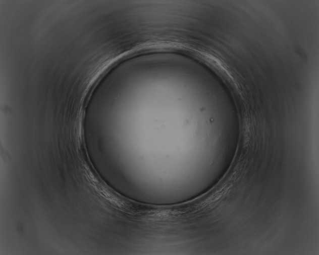X0000090481228200708031118