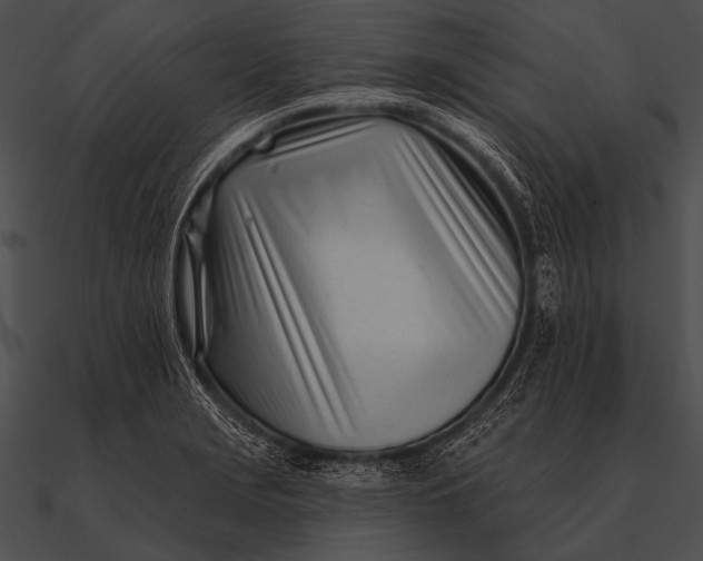 X0000090481229200708031118