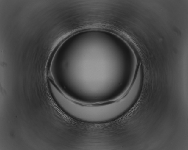 X0000090481230200708031118