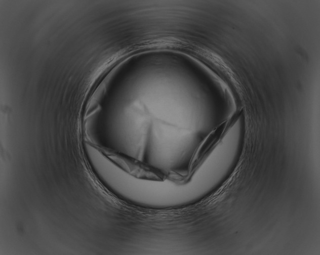 X0000090481234200708031118