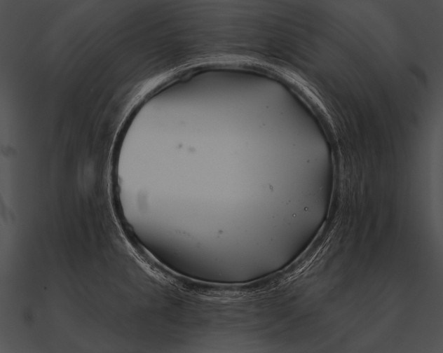 X0000090481237200708031118