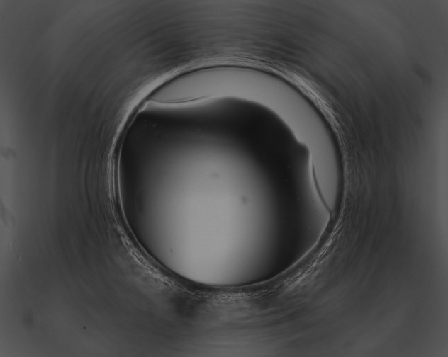 X0000090481238200708031118
