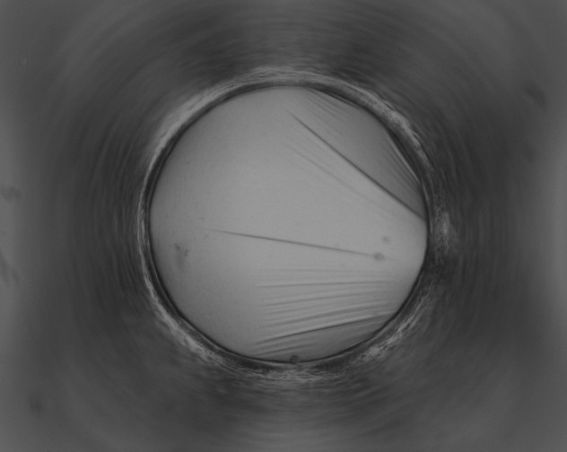 X0000090481239200708031118