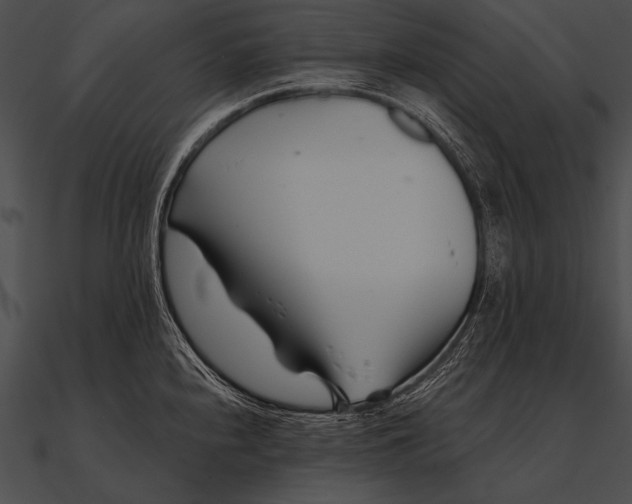 X0000090481240200708031118