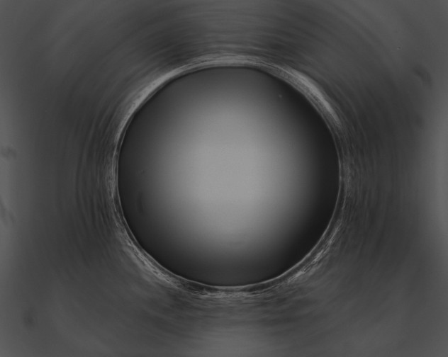 X0000090481244200708031118