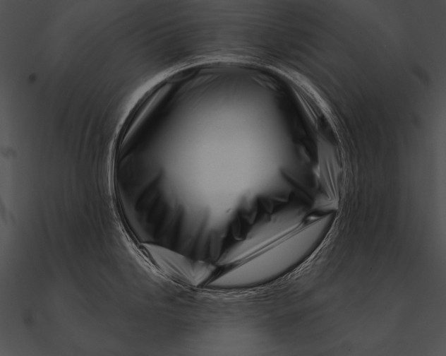 X0000090481246200708031118
