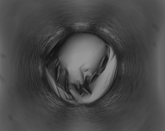 X0000090481250200708031117