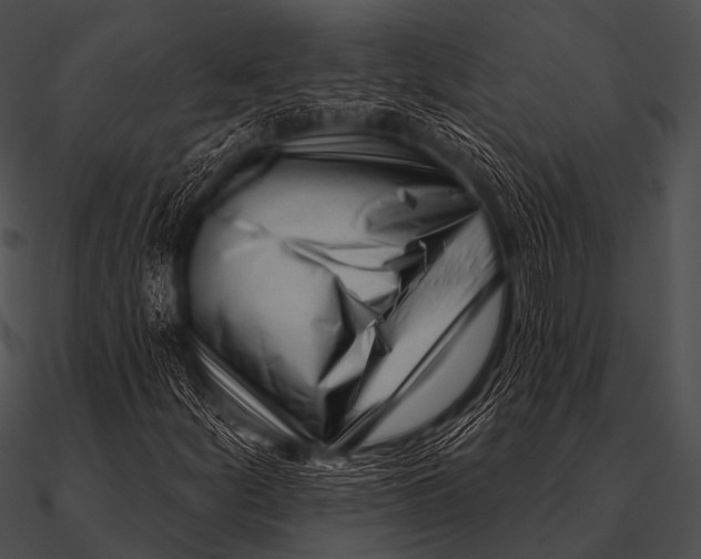 X0000090481252200708031117