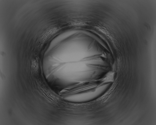 X0000090481257200708031117