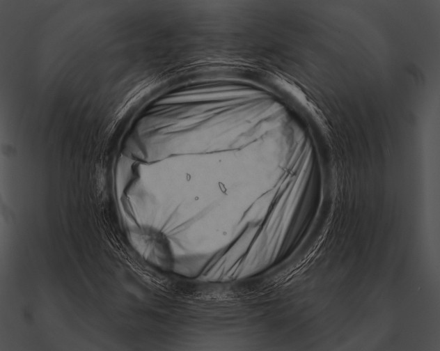 X0000090481259200708031117