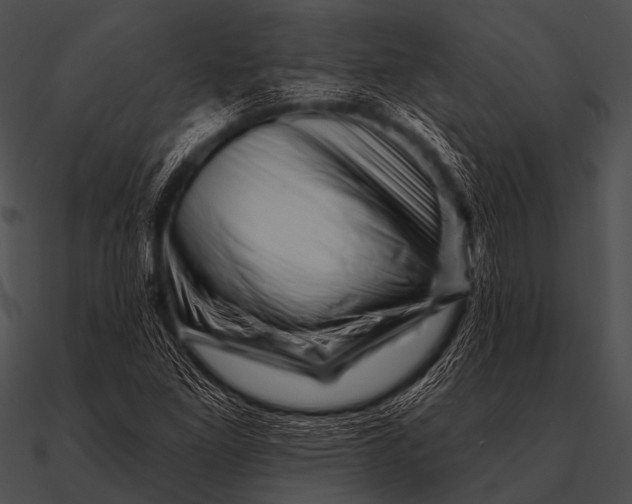 X0000090481261200708031117