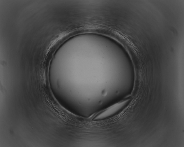 X0000090481262200708031117