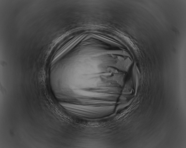 X0000090481264200708031117