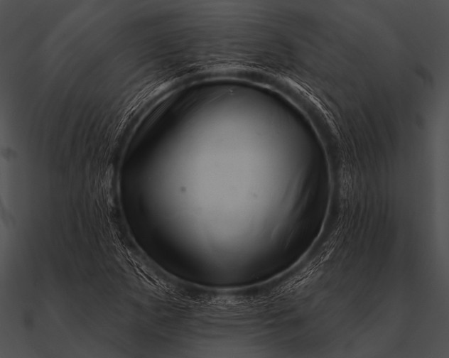 X0000090481265200708031117