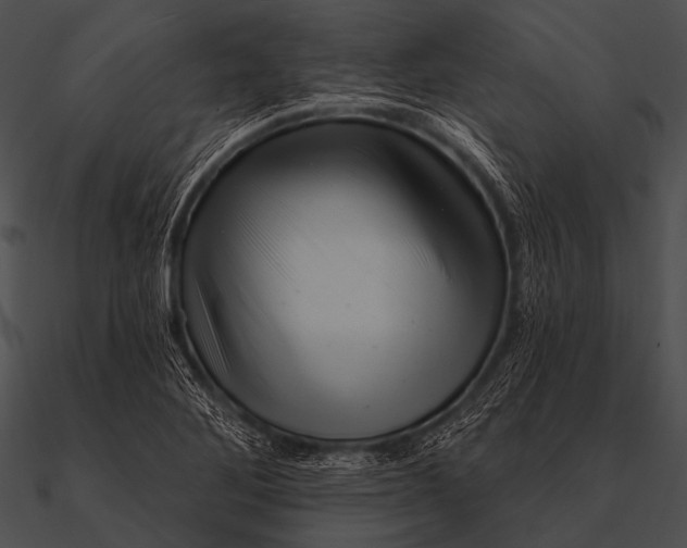 X0000090481268200708031117