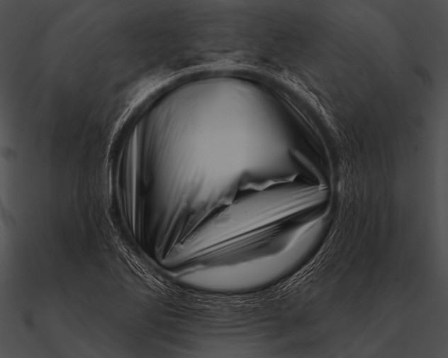X0000090481270200708031117