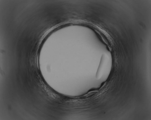 X0000090481272200708031117