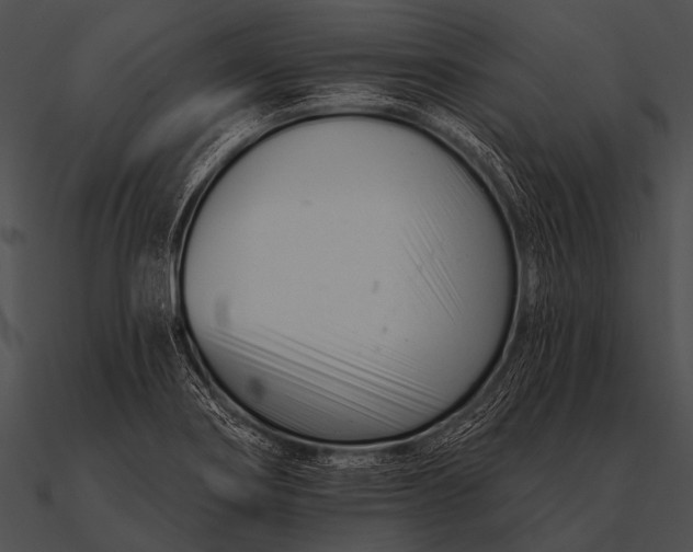 X0000090481274200708031117