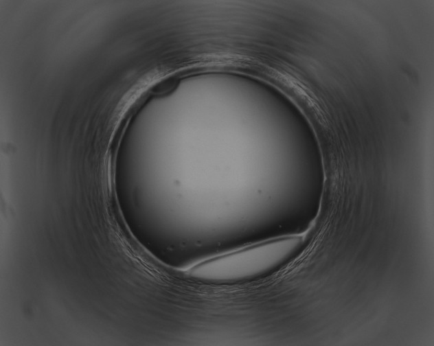 X0000090481275200708031117