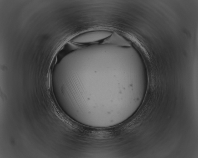 X0000090481276200708031117