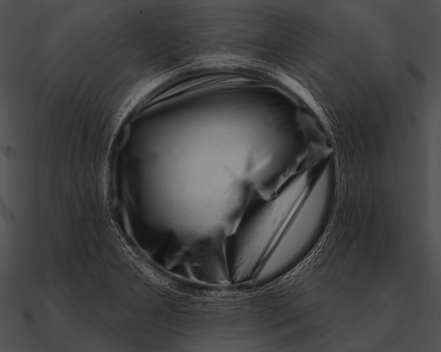 X0000090481277200708031117