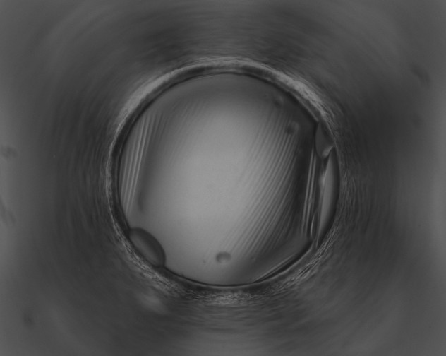 X0000090481279200708031117