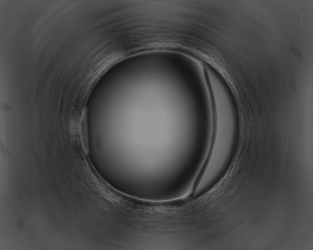 X0000090481281200708031117
