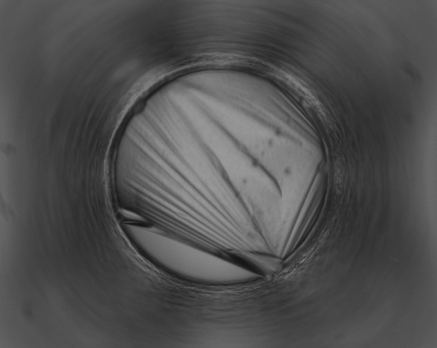 X0000090481283200708031117