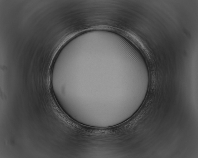 X0000090481284200708031117