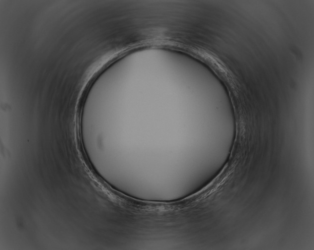 X0000090481286200708031117