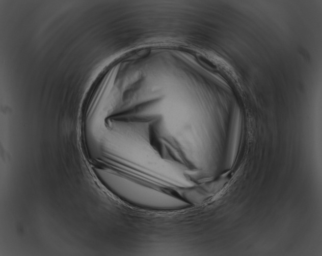 X0000090481288200708031117