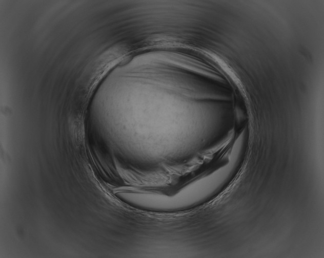 X0000090481289200708031116