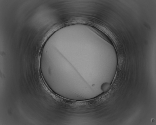 X0000090481290200708031116