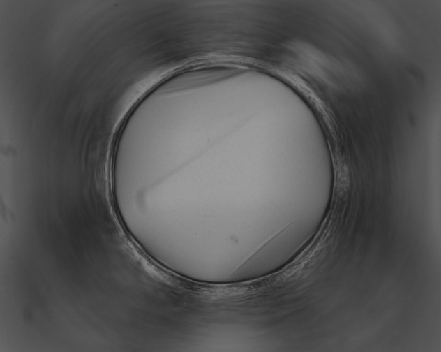 X0000090481294200708031116