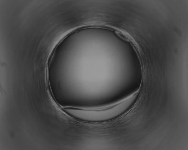 X0000090481295200708031116
