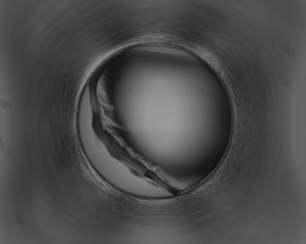 X0000090481296200708031116