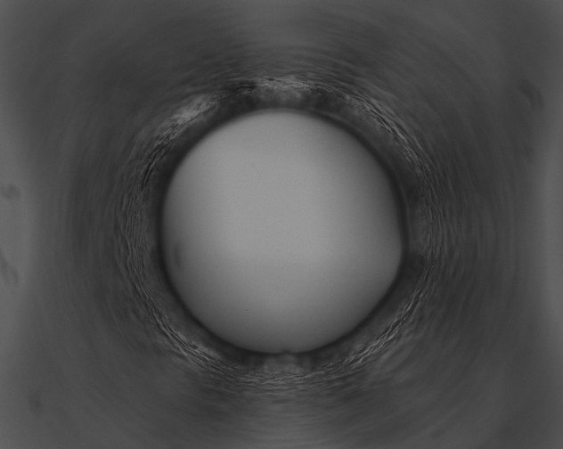 X0000090481297200708031116