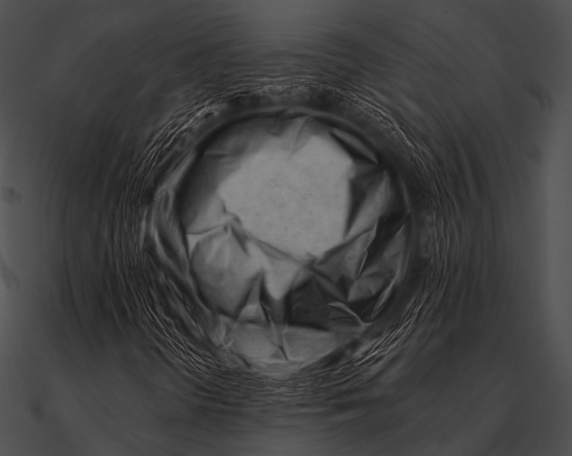 X0000090481298200708031116
