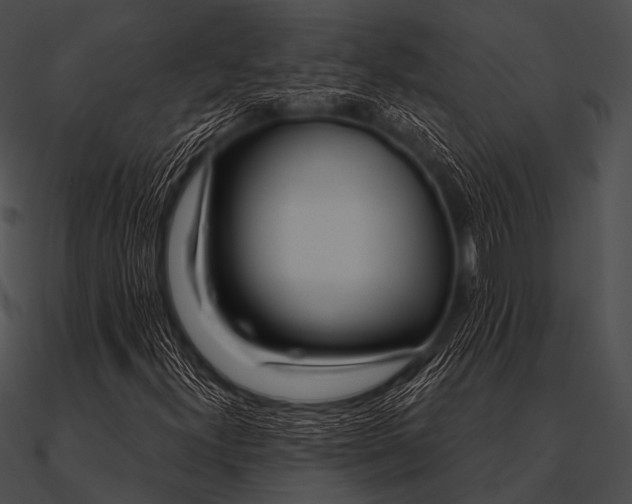 X0000090481300200708031116