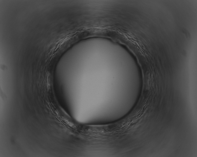 X0000090481301200708031116